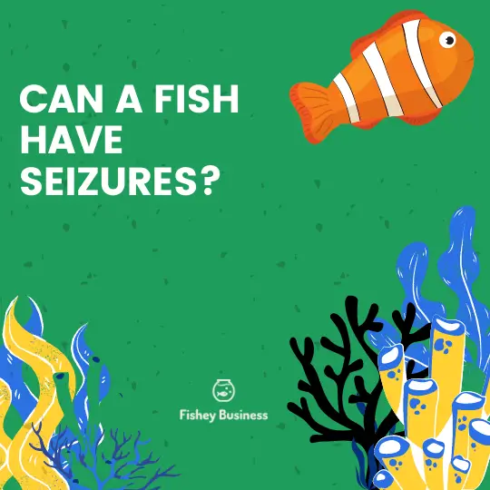 can fish have seizures?