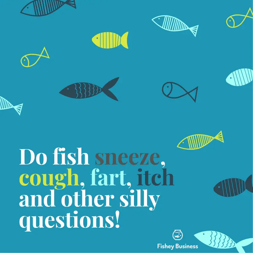 Do fish sneeze, cough, fart, itch or choke?