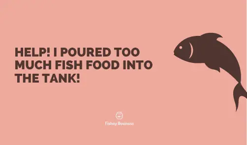 Accidentally Poured Too Much Fish Food? Do This Right Now!