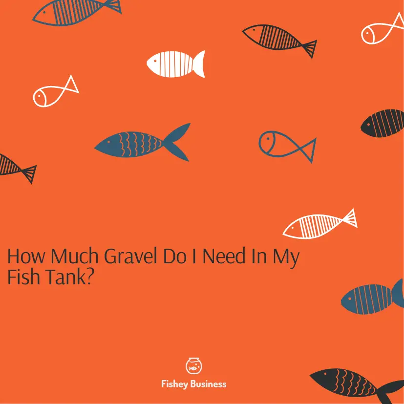 How much gravel do I need in my fish tank?