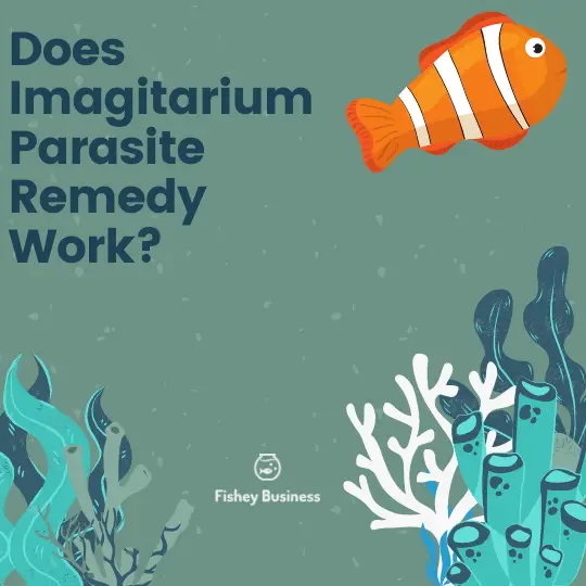 Imagitarium-Parasite-Remedy