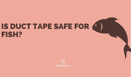 is duct tape safe for fish?