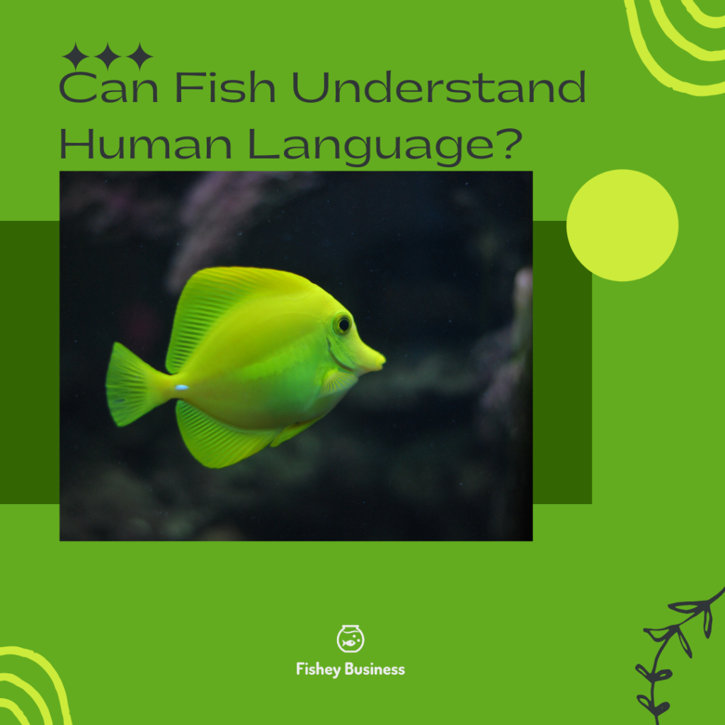 Can Fish Understand Human Language?