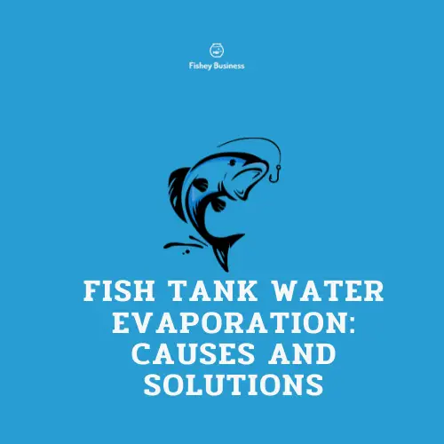 Fish Tank Water Evaporation: Causes and Solutions