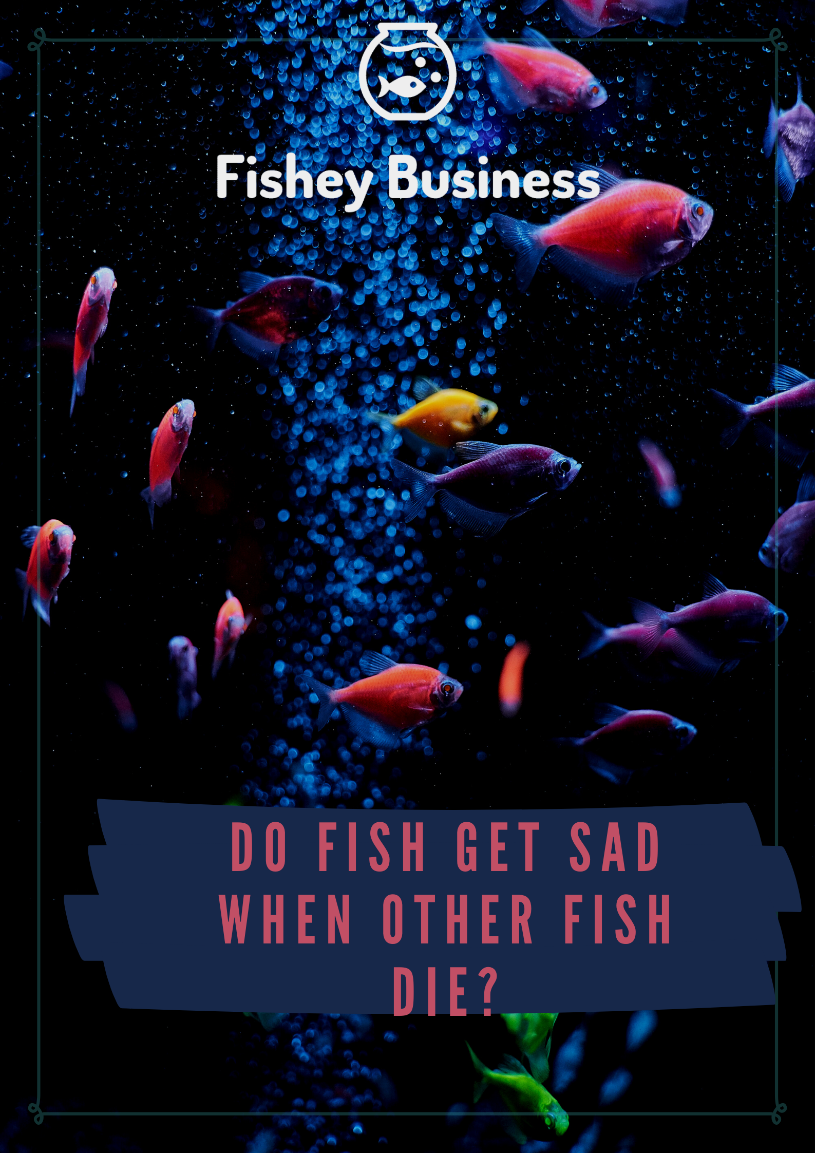 do-fish-get-sad-when-other-fish-die